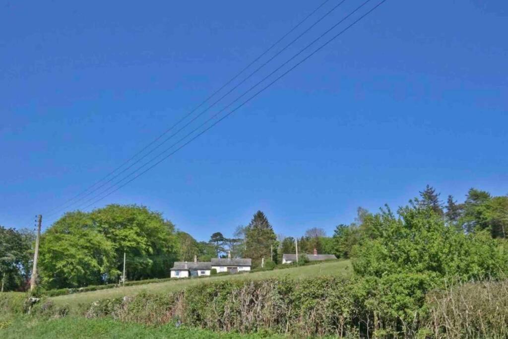Hilltop Cottage Thropton المظهر الخارجي الصورة